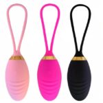 Remote Control Egg Panty Vibrator For Pleasure Women